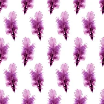 Seamless pattern background with purple feathers over white background Illustrazione stock
