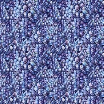 Seamless pattern background with watercolor hand-drawn purple blue grape. Summer Stock Illustration