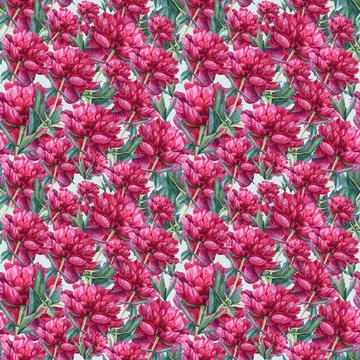 Seamless pattern background with watercolor red pink peony summer flower. Hand Stock Illustration