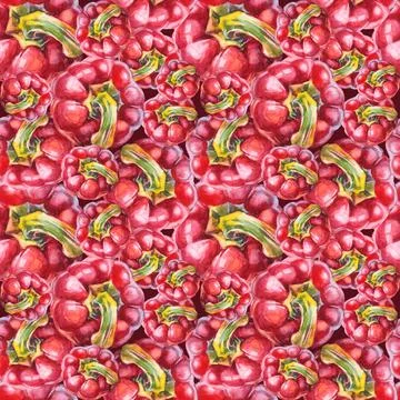 Seamless pattern background with watercolor red bell pepper. Hand-drawn sweet Stock Illustration