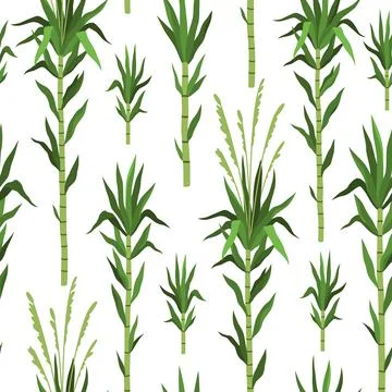 Seamless pattern bamboo tree. Sugarcane plant background, green cane stems Illustrazione stock