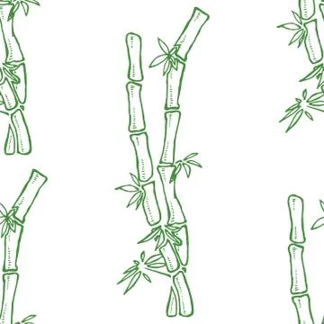 Seamless pattern from bamboo. Vector illustration of a seamless background of Stock Illustration