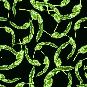 Seamless pattern banana leaf on black background. Beautiful ornament summer t Stock Illustration
