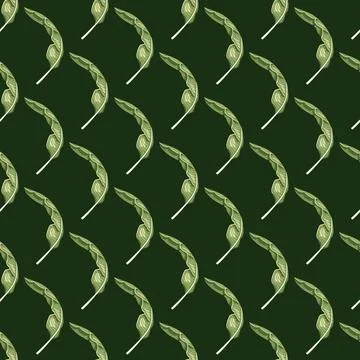Seamless pattern banana leaf on dark green background. Beautiful ornament sum イラスト素材