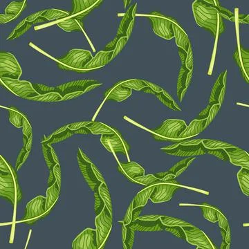 Seamless pattern banana leaf on grey background. Beautiful ornament summer tr Stock Illustration
