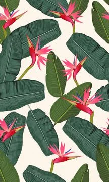 Seamless pattern banana leaf with pink bird of paradise Illustrazione stock