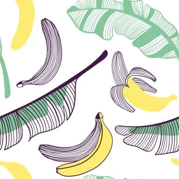 Seamless pattern of bananas. Fruit, leaf of banana. Vector hand drawn illustr Illustrazione stock