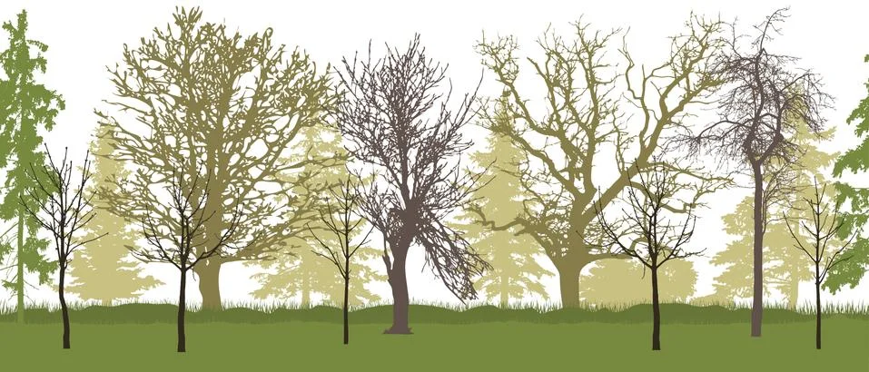 Seamless pattern of bare trees (spring garden) silhouette. Vector illustratio 스톡 일러스트