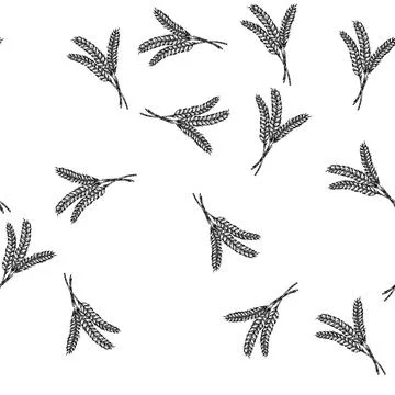 Seamless pattern barley wheat sketch hand drawn Stock Illustration