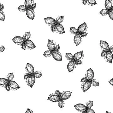 Seamless pattern basil leaf herb spice sketch hand drawn Stock Illustration
