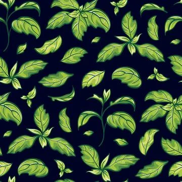 Seamless pattern of basil leaves. This botanical artwork features aromatic herbs Illustrazione stock