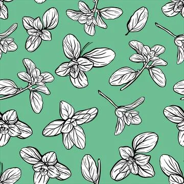 Seamless pattern of basil leaves 스톡 일러스트