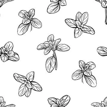 Seamless pattern of basil leaves Illustrazione stock