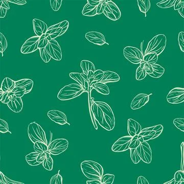 Seamless pattern of basil leaves 스톡 일러스트