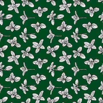 Seamless pattern of basil leaves Stock Illustration