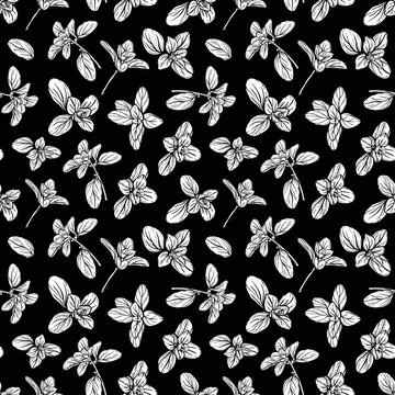 Seamless pattern with basil leaves. vector Stock Illustration