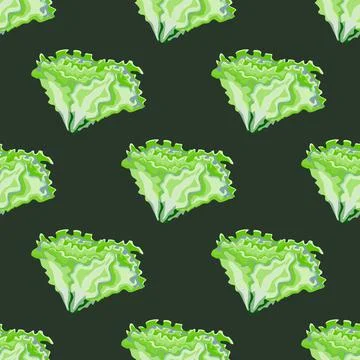Seamless pattern Batavia salad on dark gray background. Simple ornament with  イラスト素材