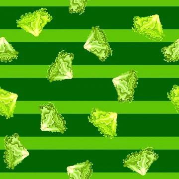 Seamless pattern Batavia salad on green striped background. Simple ornament w 스톡 일러스트