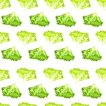 Seamless pattern Batavia salad on white background. Simple ornament with lett Stock Illustration