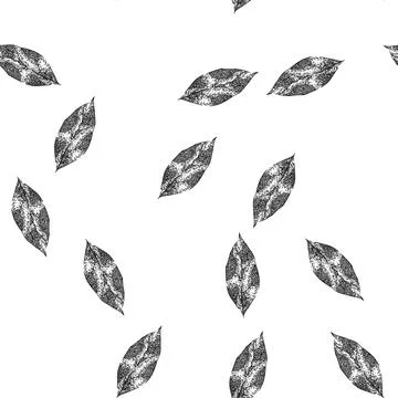 Seamless pattern bay leaf herb spice sketch hand drawn Stock Illustration