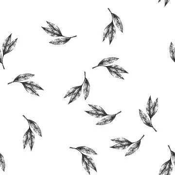 Seamless pattern bay leaf herb dry sketch hand drawn Illustrazione stock