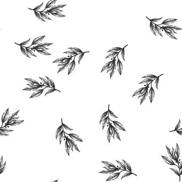 Seamless pattern bay leaf herb sketch hand drawn Stock Illustration