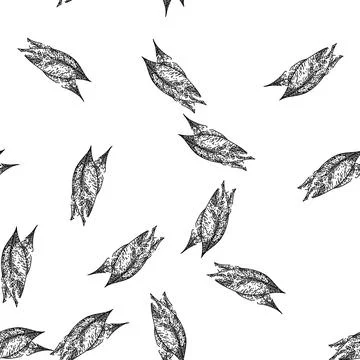 Seamless pattern bay leaf herb tree sketch hand drawn Stock Illustration