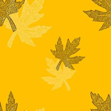 Seamless pattern of beautiful autumn maple leaf white and black illustration Stock Illustration