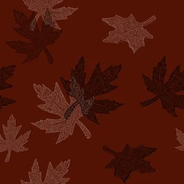Seamless pattern of beautiful autumn maple leaf white and black illustration Stock Illustration
