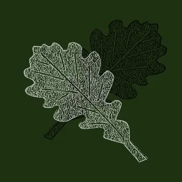 Seamless pattern of beautiful autumn oak leaf white and black illustration Illustrazione stock