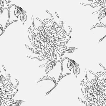 Seamless pattern of a beautiful flower on a white background. Stock Illustration