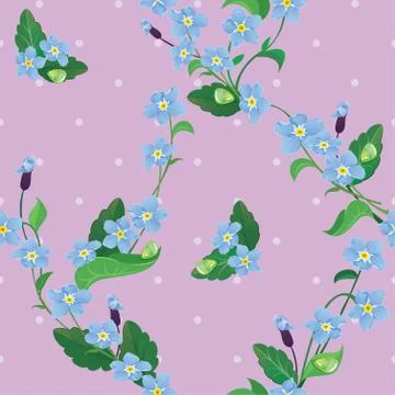 Seamless pattern with beautiful flowers - forget me not - floral  background. Stock Illustration