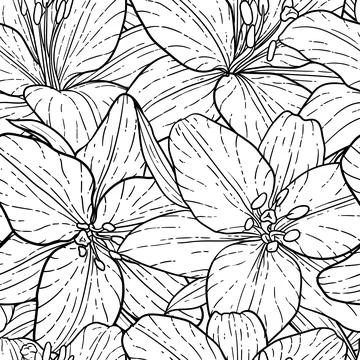 Seamless pattern, beautiful monochrome black and white lily. Hand-drawn. de.. Stock Illustration