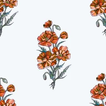 Seamless pattern of a beautiful orange flower on a white background. Stock Illustration