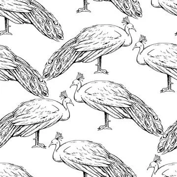 Seamless pattern with beautiful peacock male in engraving style. Vintage in.. Stock Illustration