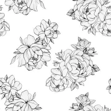 Seamless pattern of beautiful peonies on a white background. Stock Illustration