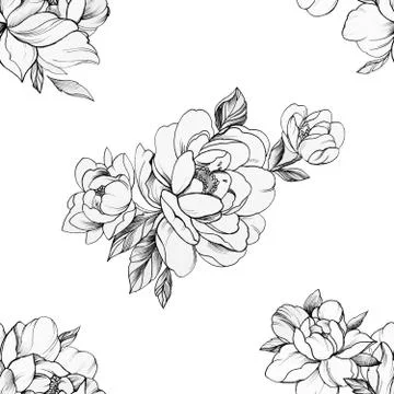 Seamless pattern of beautiful peonies on a white background. Stock Illustration