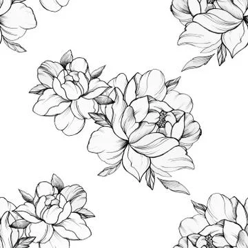 Seamless pattern of beautiful peonies on a white background. Stock Illustration