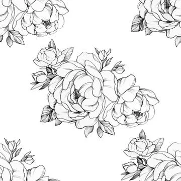 Seamless pattern of beautiful peonies on a white background. Stock Illustration