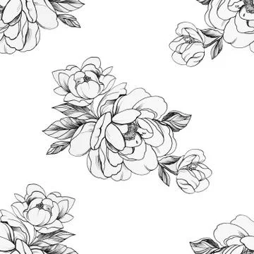 Seamless pattern of beautiful peonies on a white background. Stock Illustration