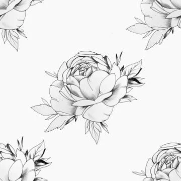 Seamless pattern of a beautiful peony bud on a white background. Stock Illustration