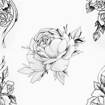 Seamless pattern of a beautiful peony bud on a white background. Stock Illustration