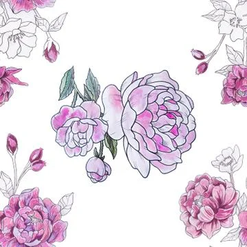 Seamless pattern of beautiful red peonies on a white background. Stock Illustration