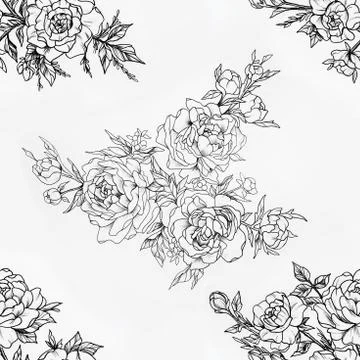Seamless pattern of beautiful roses on a white background. Stock Illustration