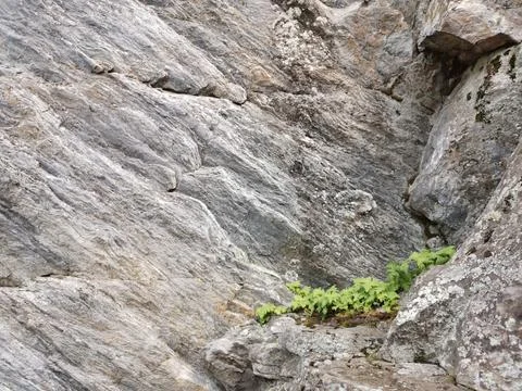 Seamless pattern. Beautiful stone background, texture of mountain cliff Foto stock