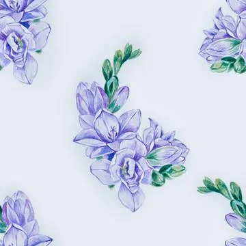Seamless pattern of beautiful violet freesia on a white background. 스톡 일러스트