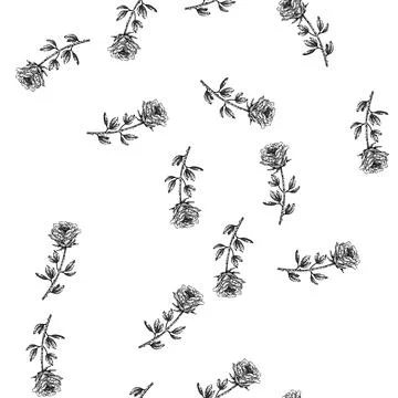 Seamless pattern beauty rose sketch hand drawn Stock Illustration