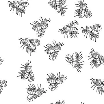 Seamless pattern bee honey sketch hand drawn Stock Illustration