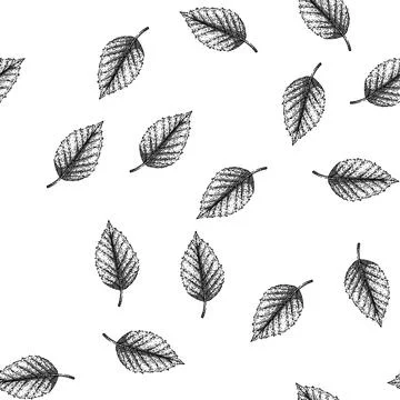 Seamless pattern beech tree autumn leaf sketch hand drawn Stockillustratie