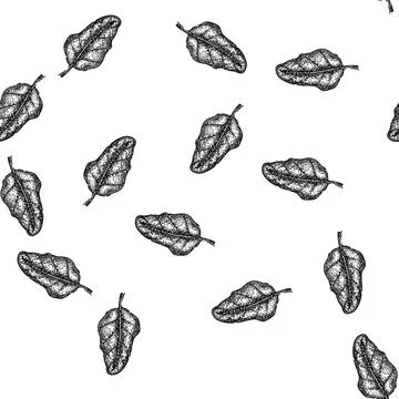 Seamless pattern beet chard sketch hand drawn Stock Illustration